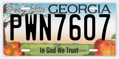 GA license plate PWN7607