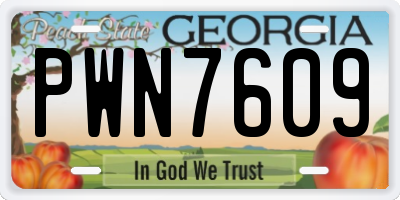 GA license plate PWN7609