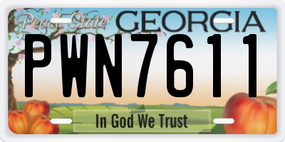 GA license plate PWN7611