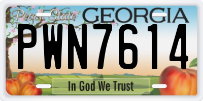 GA license plate PWN7614