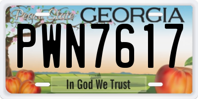 GA license plate PWN7617