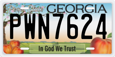 GA license plate PWN7624