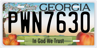 GA license plate PWN7630