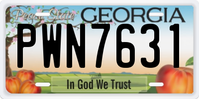 GA license plate PWN7631