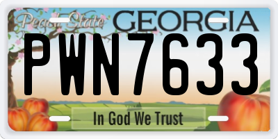 GA license plate PWN7633