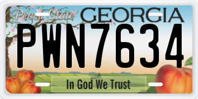 GA license plate PWN7634