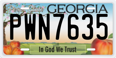 GA license plate PWN7635