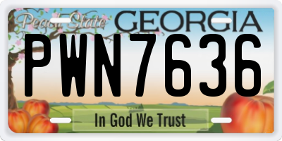 GA license plate PWN7636