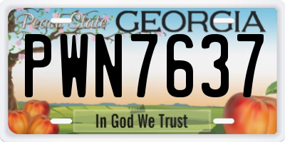 GA license plate PWN7637