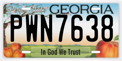 GA license plate PWN7638