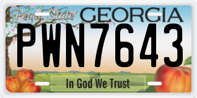 GA license plate PWN7643