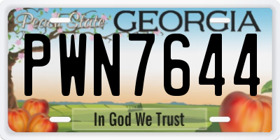 GA license plate PWN7644