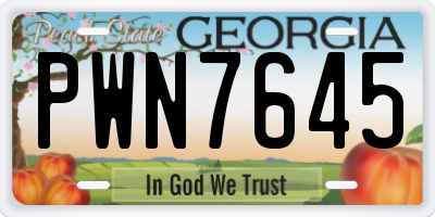 GA license plate PWN7645
