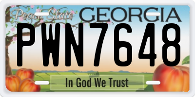 GA license plate PWN7648