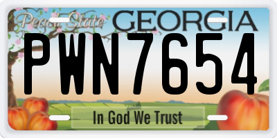 GA license plate PWN7654