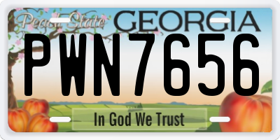 GA license plate PWN7656