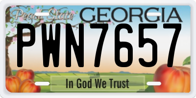 GA license plate PWN7657
