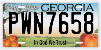 GA license plate PWN7658