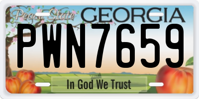 GA license plate PWN7659