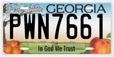 GA license plate PWN7661