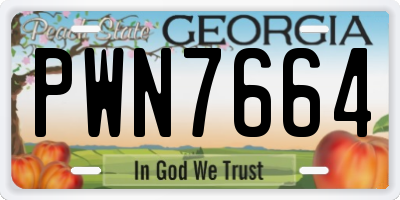 GA license plate PWN7664