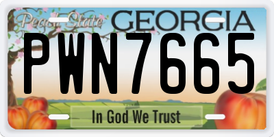 GA license plate PWN7665