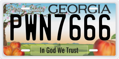 GA license plate PWN7666