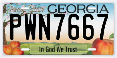 GA license plate PWN7667