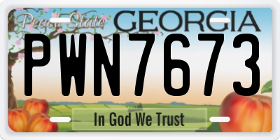 GA license plate PWN7673