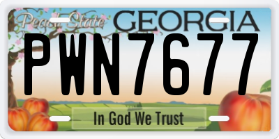 GA license plate PWN7677