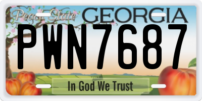 GA license plate PWN7687