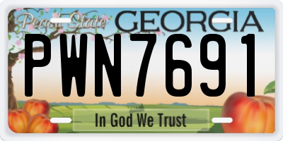 GA license plate PWN7691