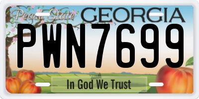 GA license plate PWN7699
