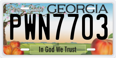 GA license plate PWN7703