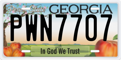 GA license plate PWN7707