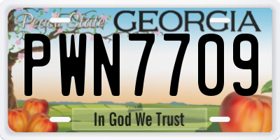 GA license plate PWN7709