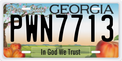 GA license plate PWN7713