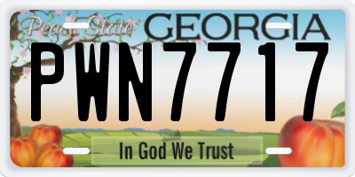 GA license plate PWN7717
