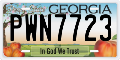 GA license plate PWN7723