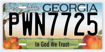GA license plate PWN7725