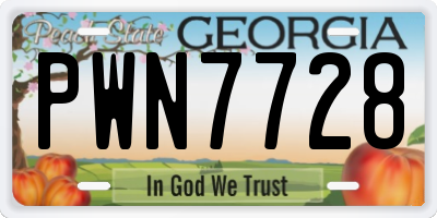 GA license plate PWN7728
