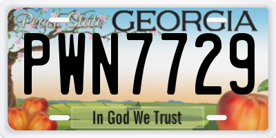 GA license plate PWN7729