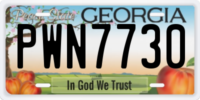 GA license plate PWN7730