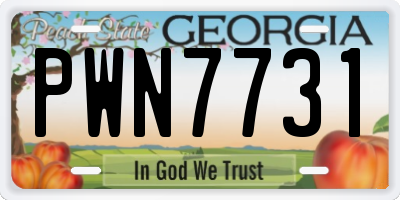 GA license plate PWN7731