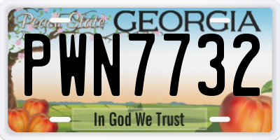 GA license plate PWN7732