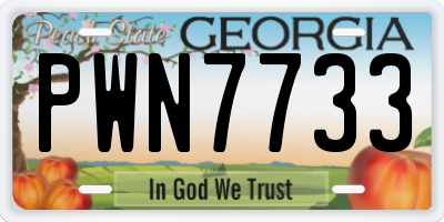GA license plate PWN7733