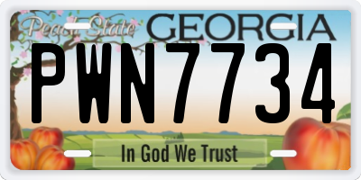 GA license plate PWN7734