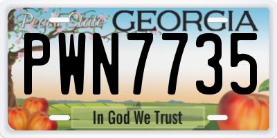 GA license plate PWN7735