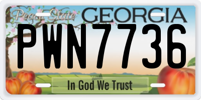 GA license plate PWN7736