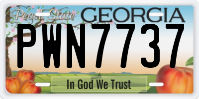 GA license plate PWN7737
